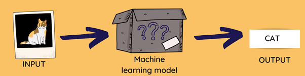 Machine learning model