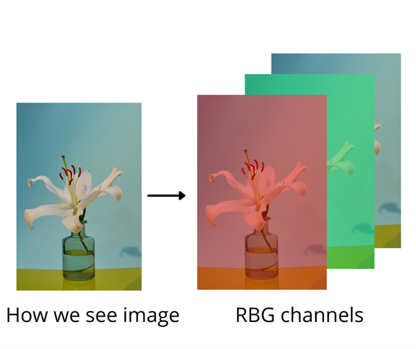 RGB images