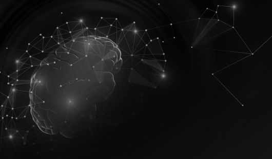 How to find the best food for your AI model?
