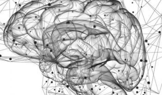 How to fool a neural network?